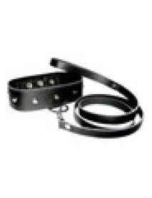 Leather Leash and Collar