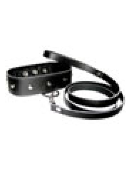 Leather Leash and Collar
