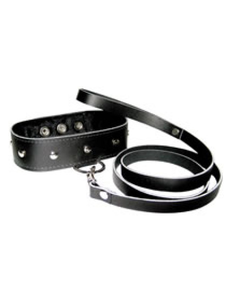 Leather Leash and Collar