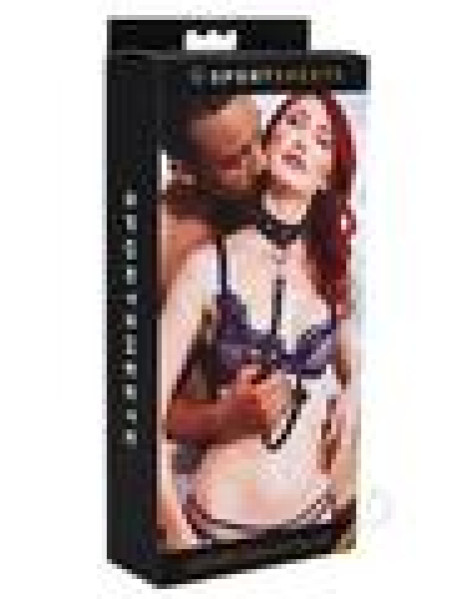 Leather Leash and Collar