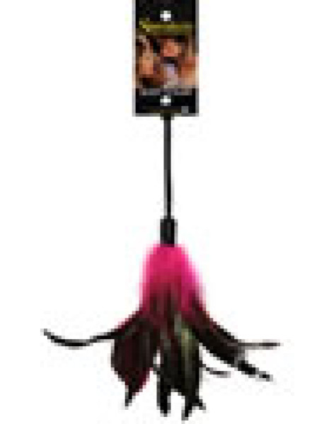 Pleasure Feather Rose