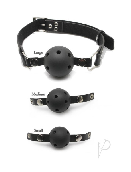 Ff Ball Gag Training System