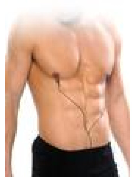Ff Shock Therapy Nipple Clamps (disc)