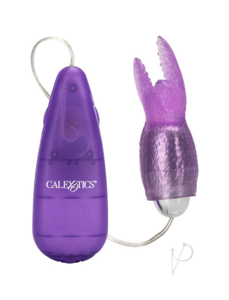 High Intensity Snow Bunny Purp