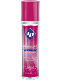 Id Pleasure 17 Oz Overcap Container Pump