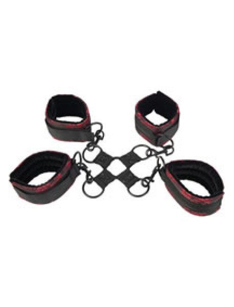 Scandal Hog Tie