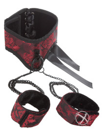 Scandal Posture Collar W/ Leash