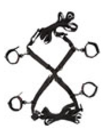 Scandal Over The Bed Cross