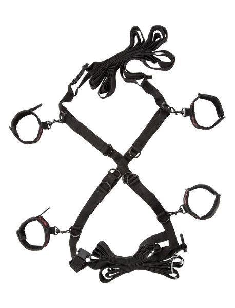 Scandal Over The Bed Cross