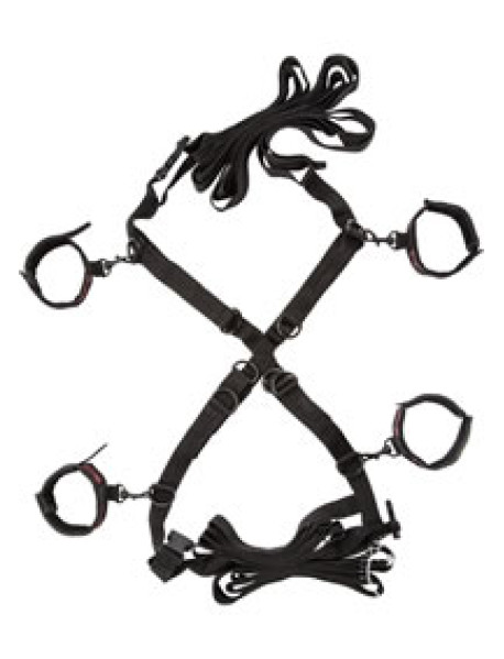 Scandal Over The Bed Cross