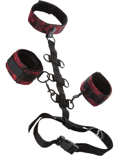 Scandal Collar Body Restraint