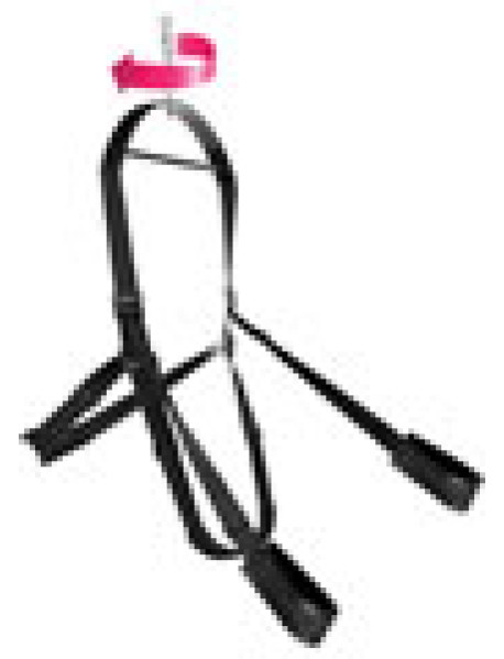 Trinity V 360 Spinning Sex Swing