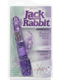 Petite Jack Rabbit Purple
