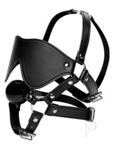 Strict Eye Mask Harness W/ball Gag
