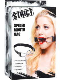 Strict Spider Mouth Gag