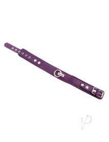 Rouge Plain Collar Purple