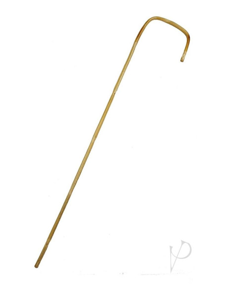 Rouge Bamboo Cane