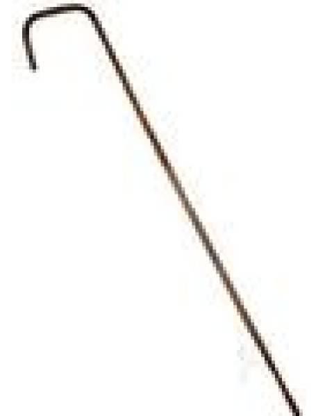 Rouge Bamboo Cane