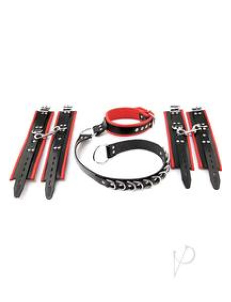 Rouge D Ring Hogtie Black/red