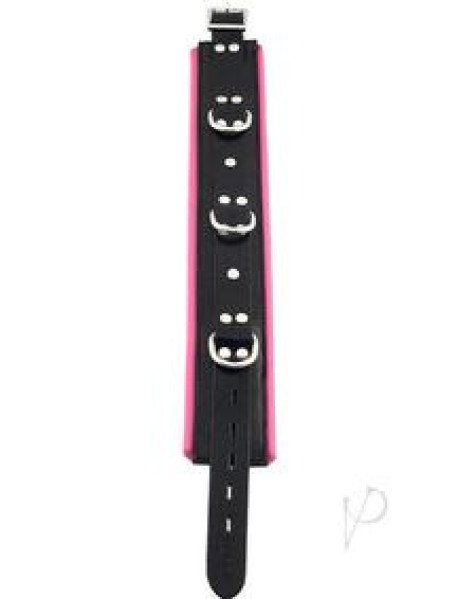 Rouge 3ring Padded Collar Blk/pnk