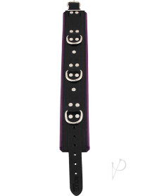 Rouge 3 D Ring Padded Collar Blk/prp