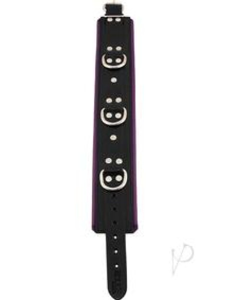 Rouge 3 D Ring Padded Collar Blk/prp
