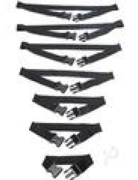 Ms Subdued Full Body Trap Set Ms Subdued Full Body Trap Set