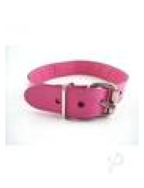 Rouge O Ring Studded Collar Pnk