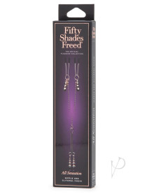 Fsf All Sensation Nipple And Clit Chain