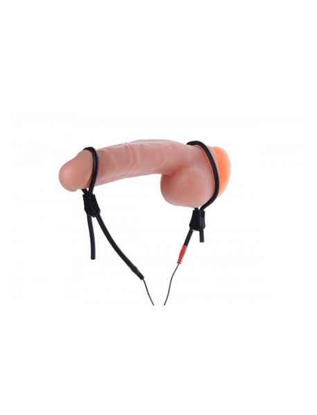 Zeus Vigor Ii Cock and Ball Ties Estim