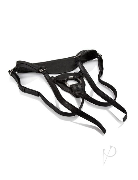 Her Royal Harness The Queen Boxed