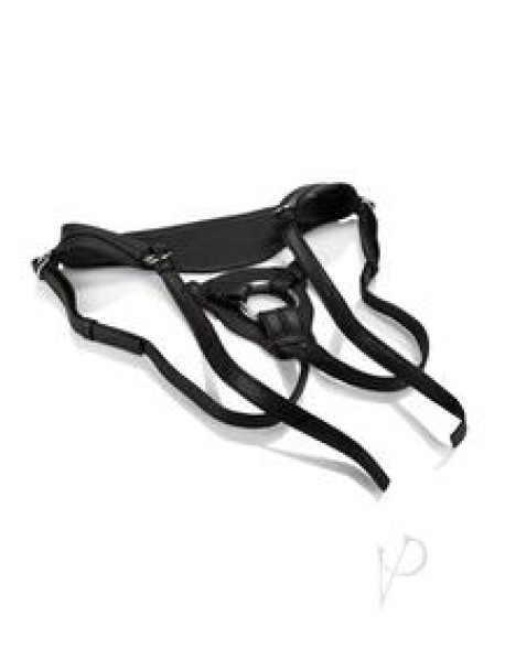 Her Royal Harness The Queen Boxed