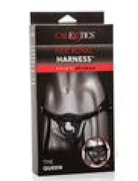 Her Royal Harness The Queen Boxed