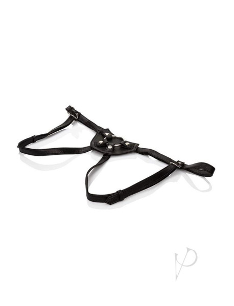 Her Royal Harness The Countess Boxed