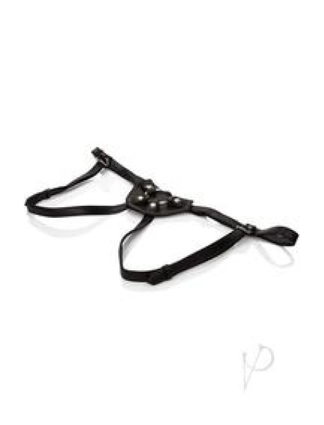 Her Royal Harness The Countess Boxed