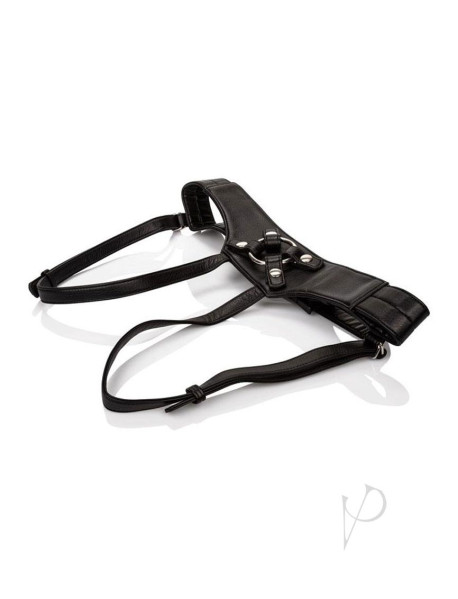 Her Royal Harness The Empress Boxed