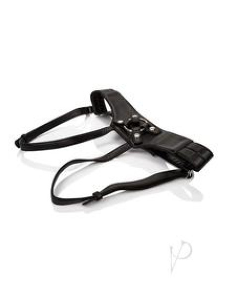 Her Royal Harness The Empress Boxed