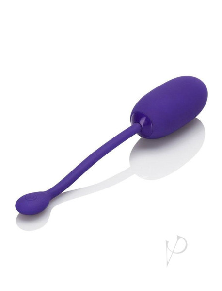 Rechargeable Kegel Ballstarterpur(disc)