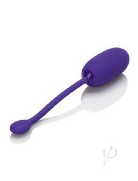 Rechargeable Kegel Ballstarterpur(disc)