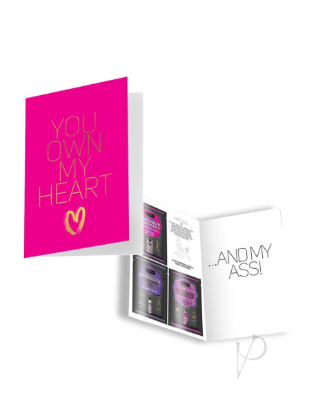 Naughty Notes Greeting Card You Own My