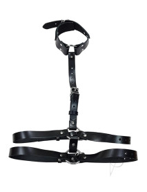 Rouge Female Body Harness W/choker