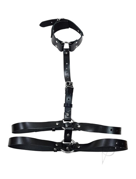 Rouge Female Body Harness W/choker