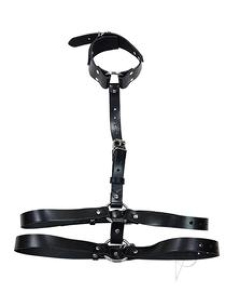 Rouge Female Body Harness W/choker