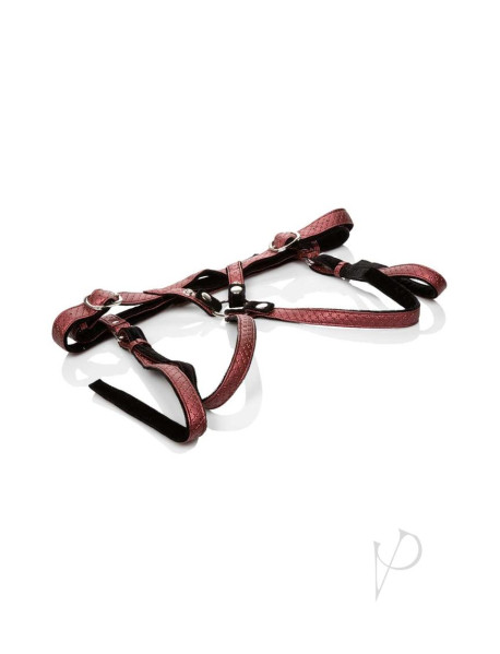 Hrh Regal Duches Red Hrh Regal Duches Red