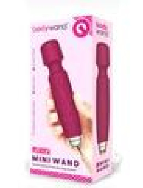 Bodywand Luxe Mini Usb Pink (disc)