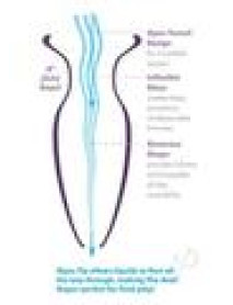 Afe Beginners Anal Gaper