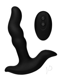 Prostatic Play Curved Rota Plug(spec)