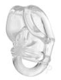 Ms Annex Super Stretch Erect Clr(spec)