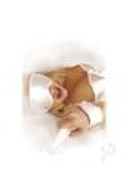 Ff Honeymoon Bondage Kit