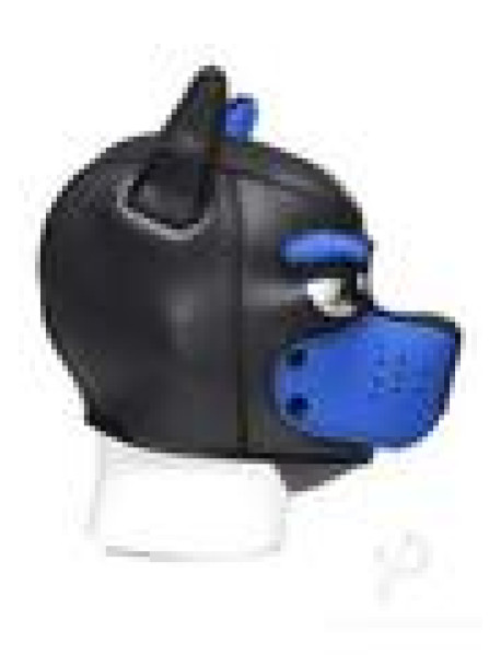Ms Spike Puppy Hood Blue